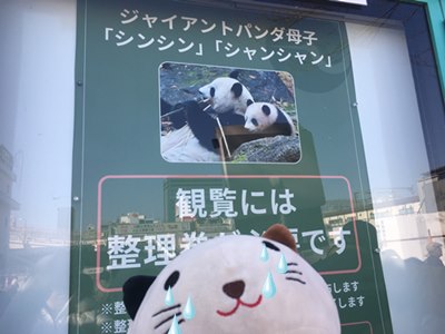 上野動物園,パンダ
