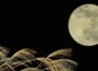 【2022年】中秋の名月と木星観測